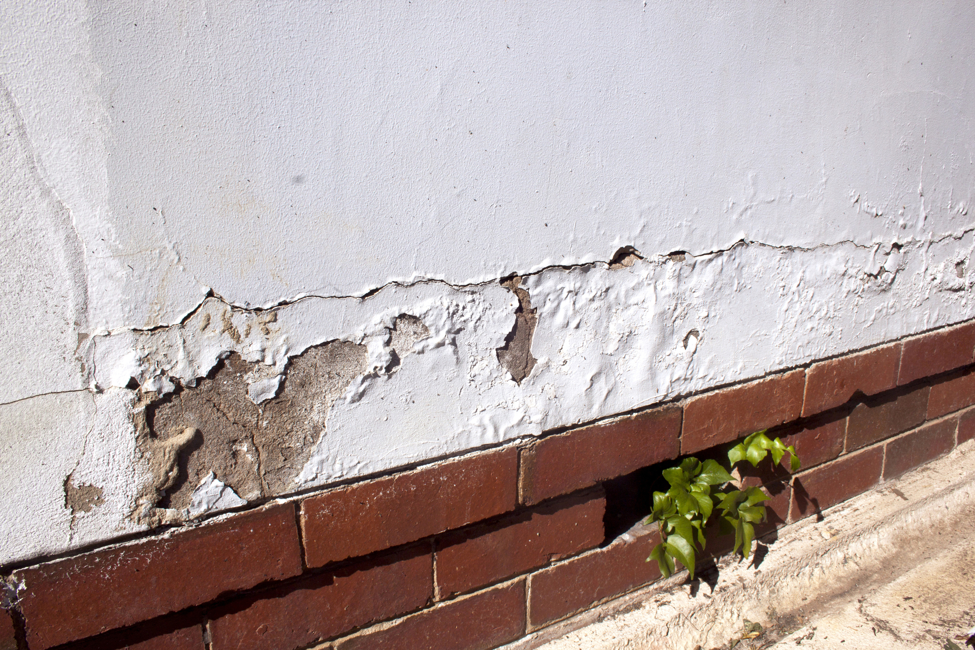 Rising damp on exterior wall