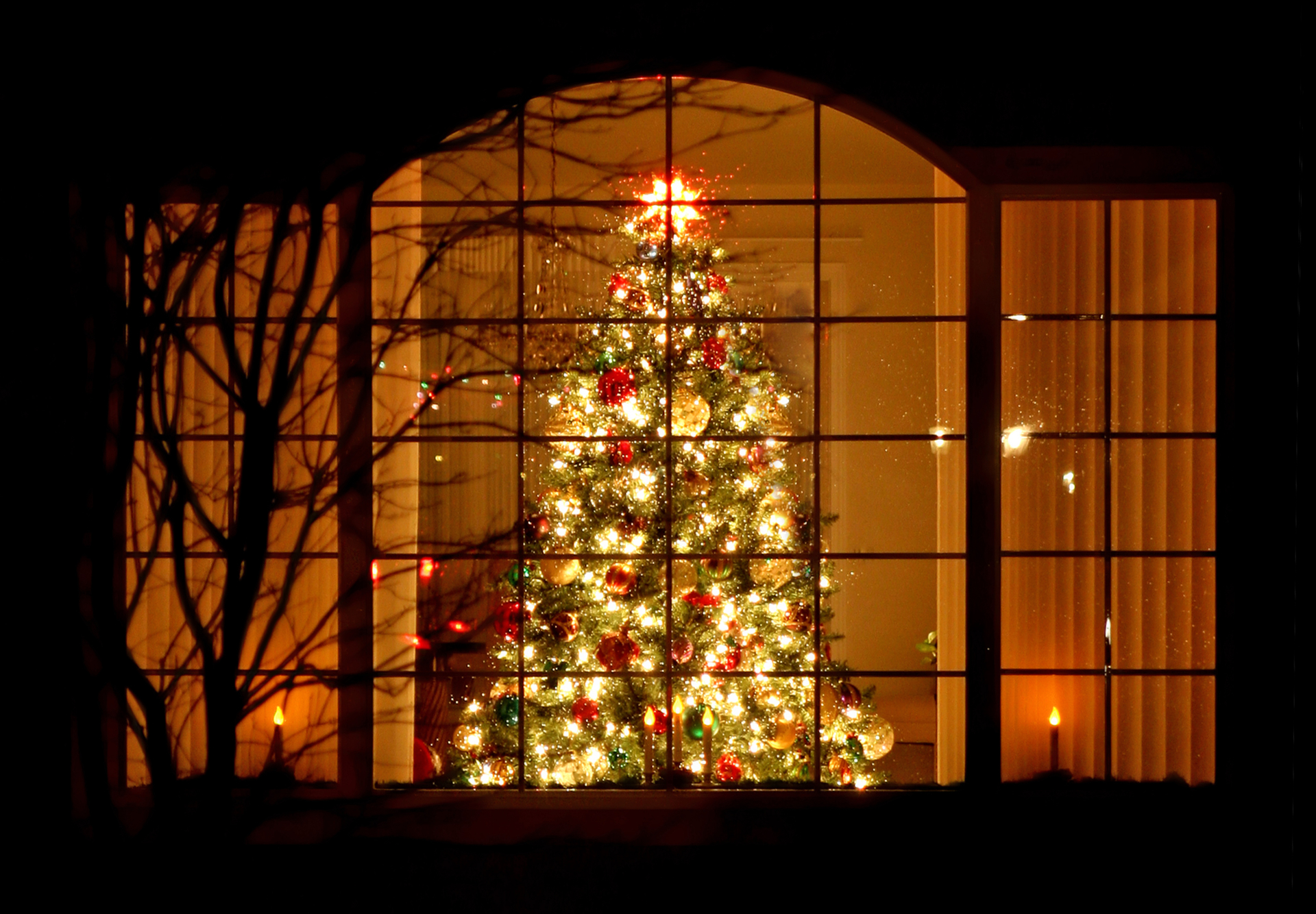 Christmas tree through window